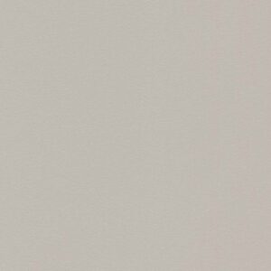 Panolam color swatch: Chamois, Willow Grey - S431