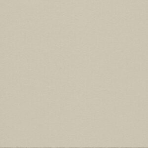 Panolam color swatch: Chamois, Pumice - S491