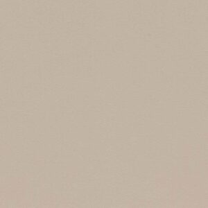Panolam color swatch: Chamois, Birch - S569