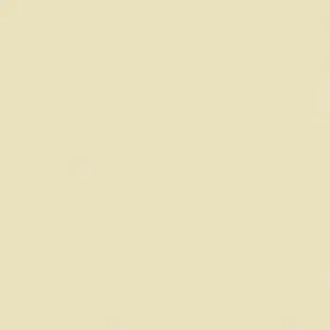 Standard Solid Almond Color Swatch