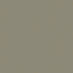 Standard Solid Ashen Color Swatch