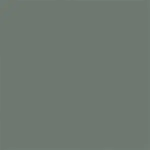 Standard Solid Celandon Color Swatch