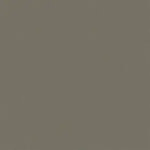 Standard Solid Fossil Color Swatch
