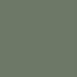 Standard Solid Smoke Green Color Swatch