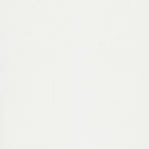 Standard Solid Antique White Color Swatch