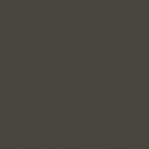 Color Swatch